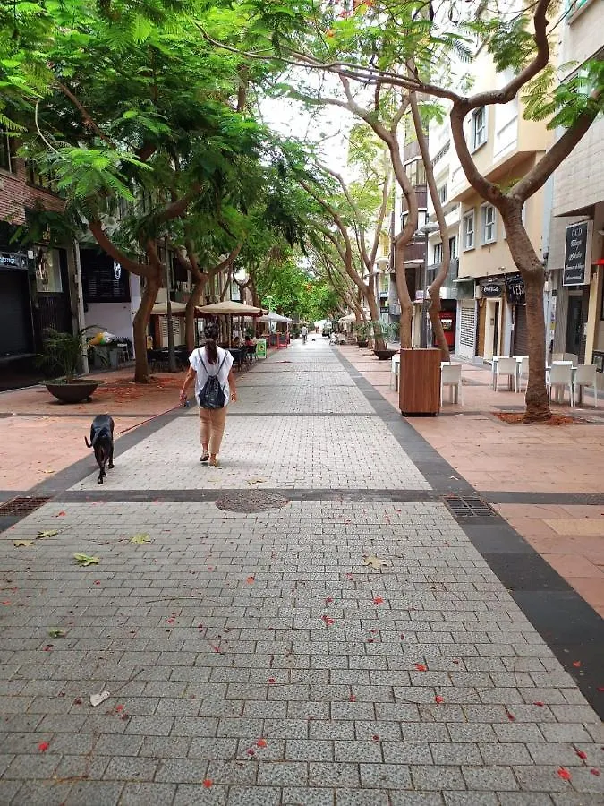 아파트 Center Santa Cruz, Alojamiento Centrico Con Gran Terraza, Cocina , Salon Y Banos, Todo Privado